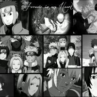 Team 7 Forever in my Heart ! 